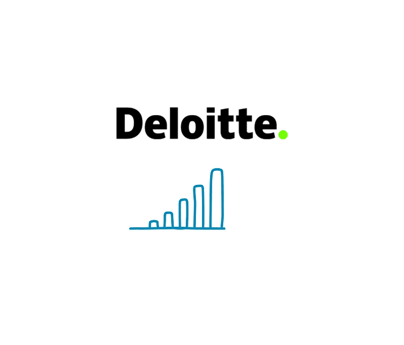 Rapport Deloitte